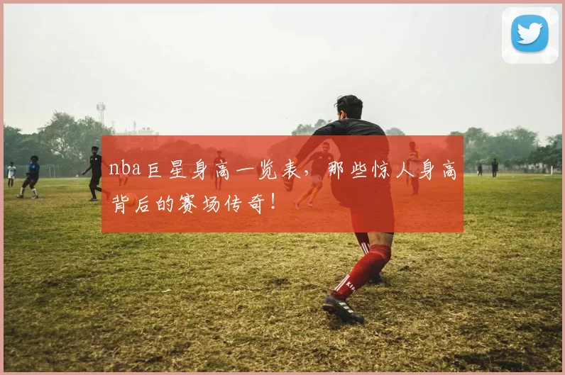 nba巨星身高一览表，那些惊人身高背后的赛场传奇！