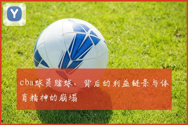 cba球员赌球,背后的利益链条与体育精神的崩塌